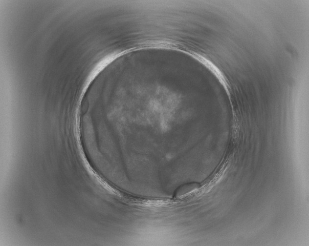 X0000115341389200912141230