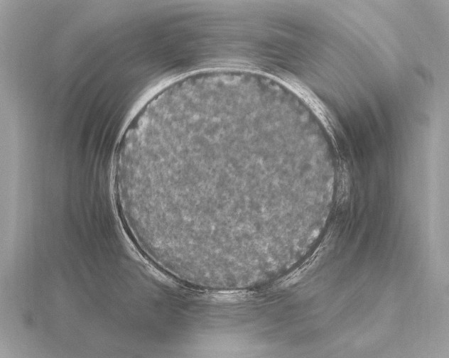 X0000115341390200912141230