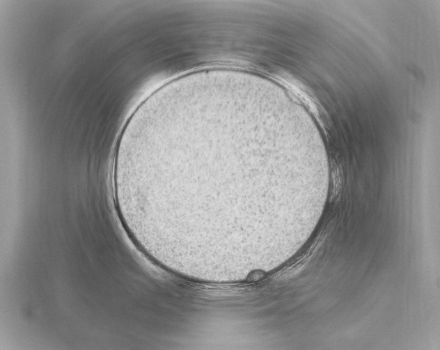 X0000115341391200912141230