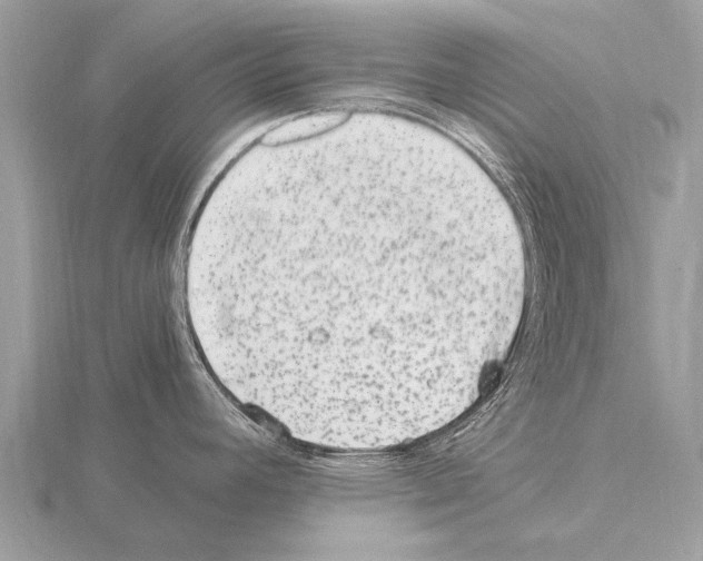 X0000115341392200912141230