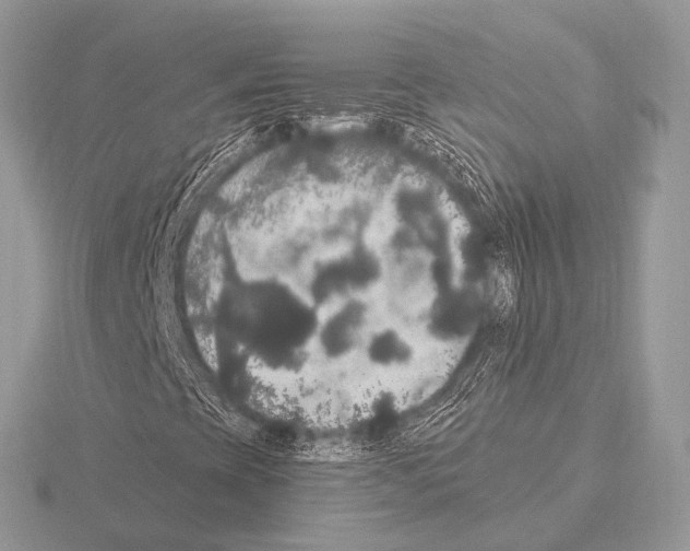 X0000115341393200912141230