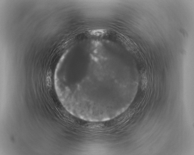 X0000115341394200912141230