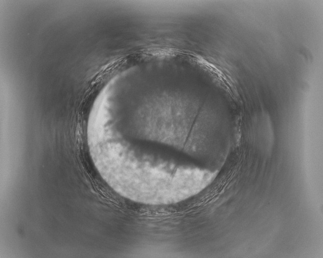 X0000115341397200912141230