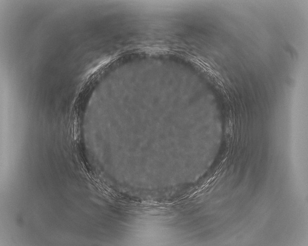 X0000115341398200912141230