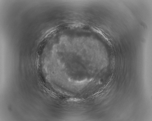 X0000115341399200912141230