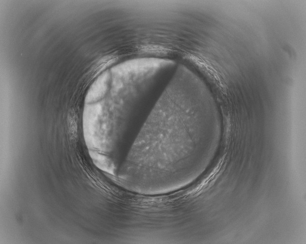 X0000115341401200912141230