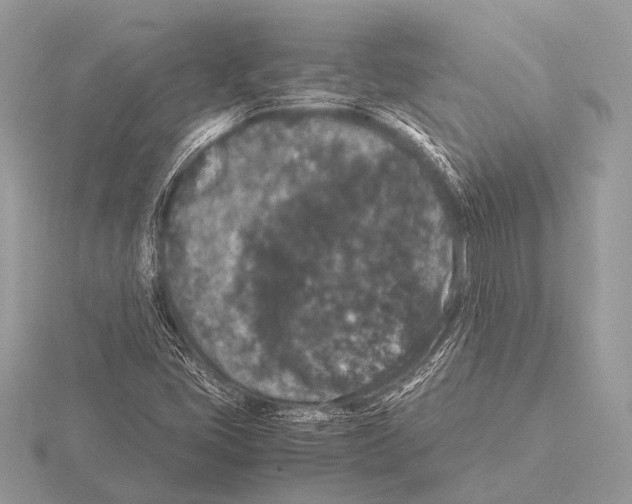 X0000115341405200912141230