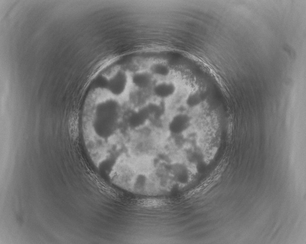 X0000115341409200912141230