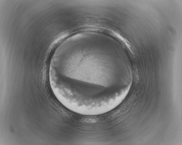 X0000115341411200912141230