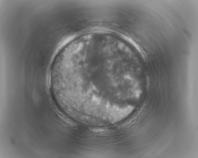 X0000115341413200912141230