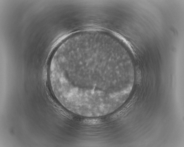 X0000115341415200912141230