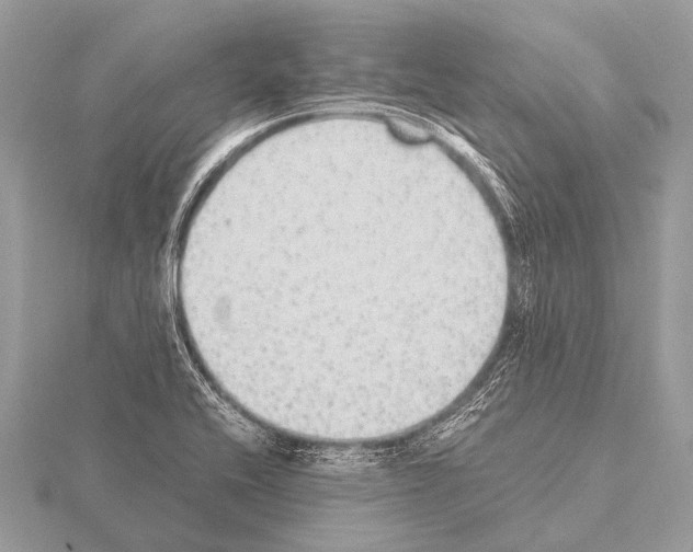 X0000115341416200912141230