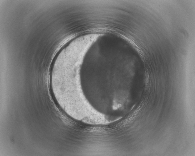 X0000115341418200912141230