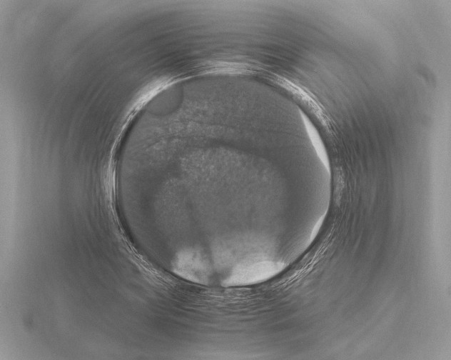 X0000115341419200912141230