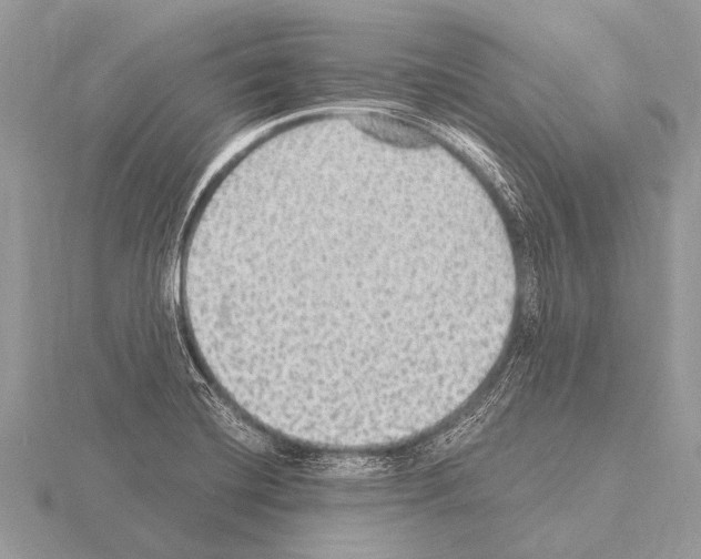 X0000115341420200912141230