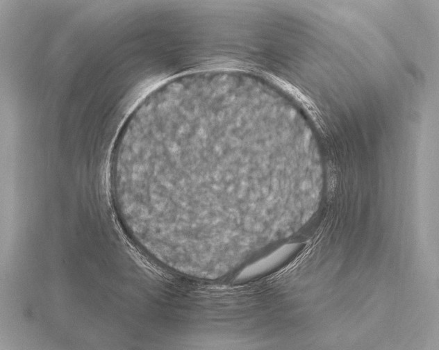 X0000115341423200912141230