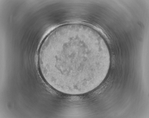 X0000115341424200912141230