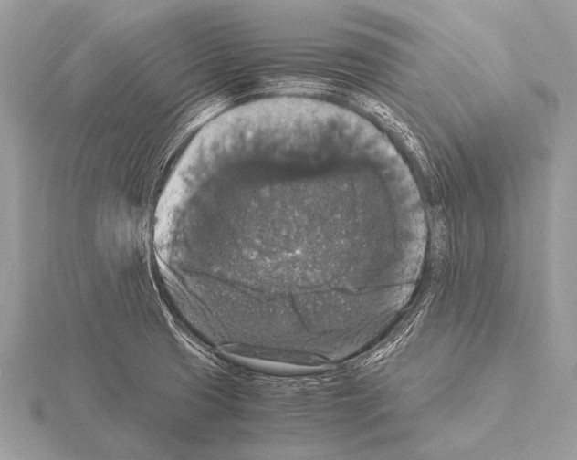 X0000115341425200912141230