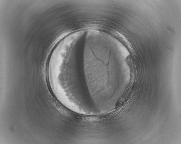 X0000115341427200912141230