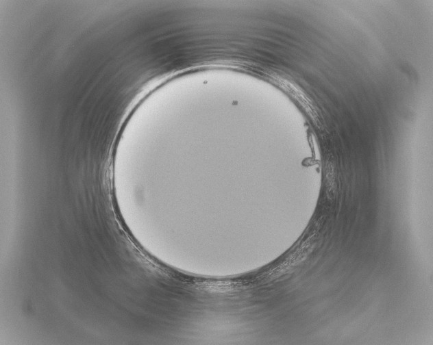 X0000115341428200912141230