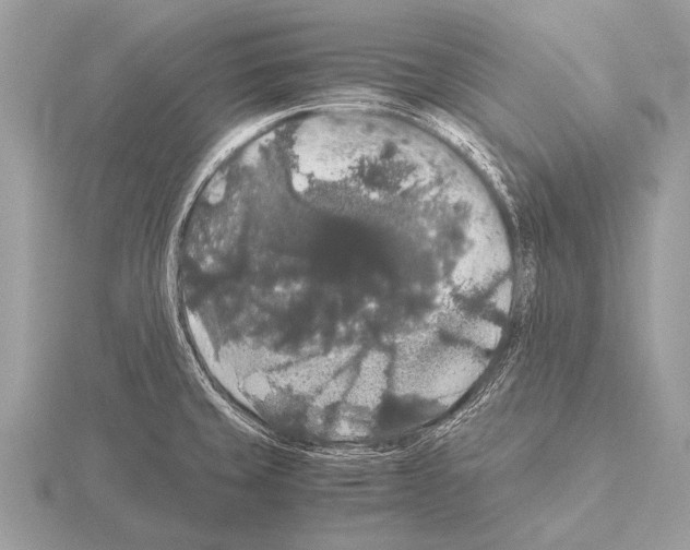 X0000115341429200912141230