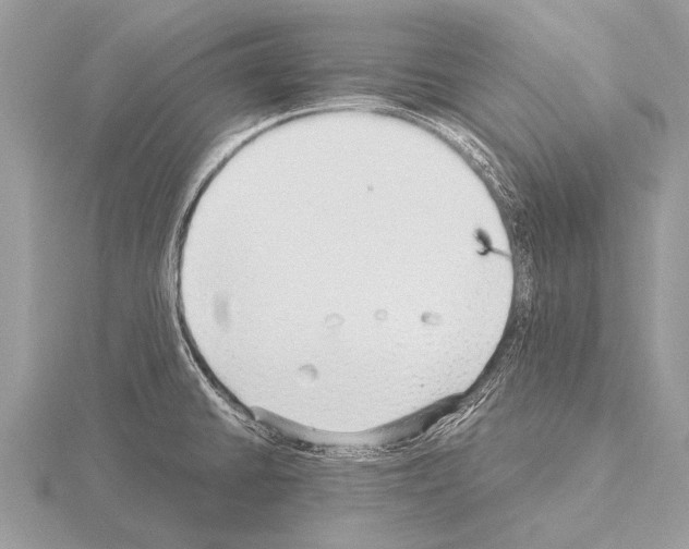 X0000115341430200912141230