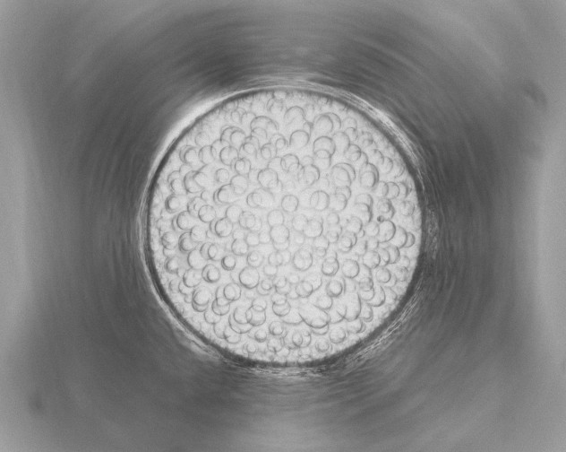 X0000115341432200912141230