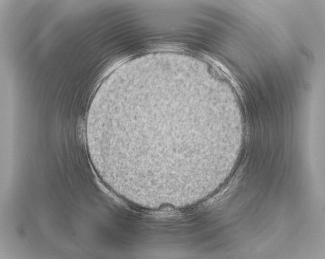 X0000115341433200912141230