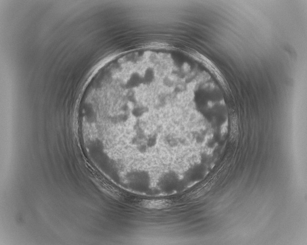 X0000115341435200912141230