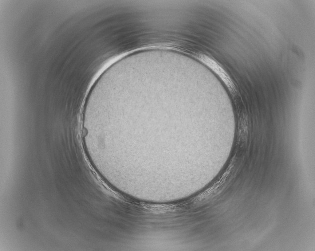 X0000115341436200912141230