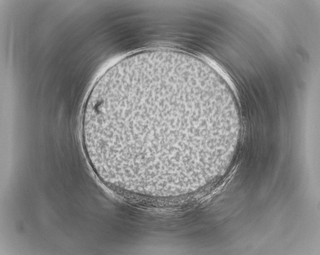 X0000115341437200912141230