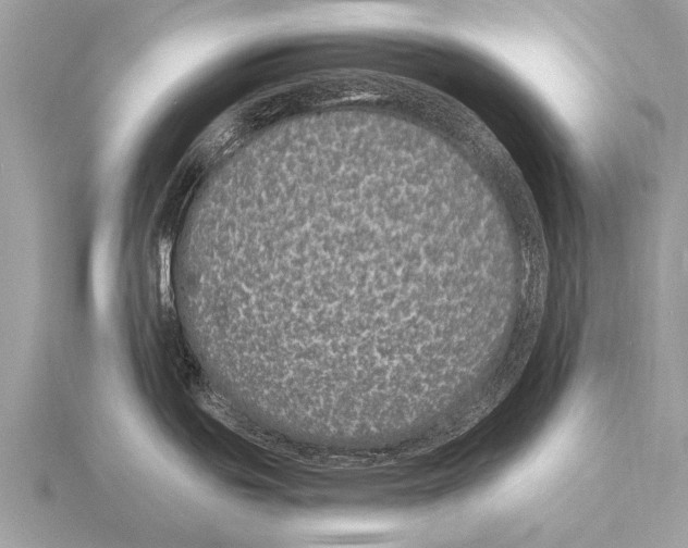 X0000115341439200912141230