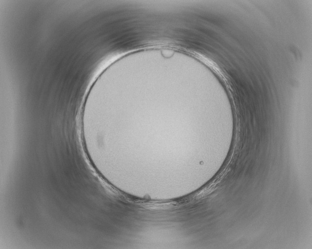 X0000115341440200912141230