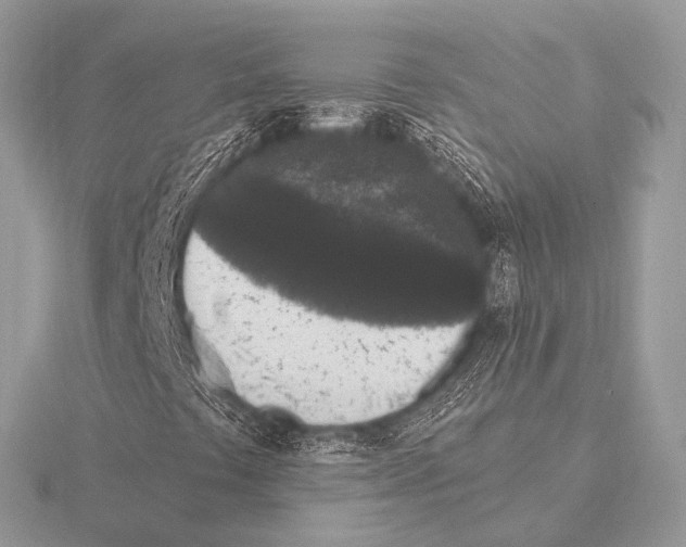 X0000115341441200912141230