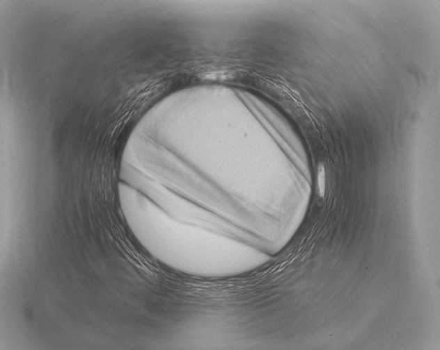 X0000115341444200912141230