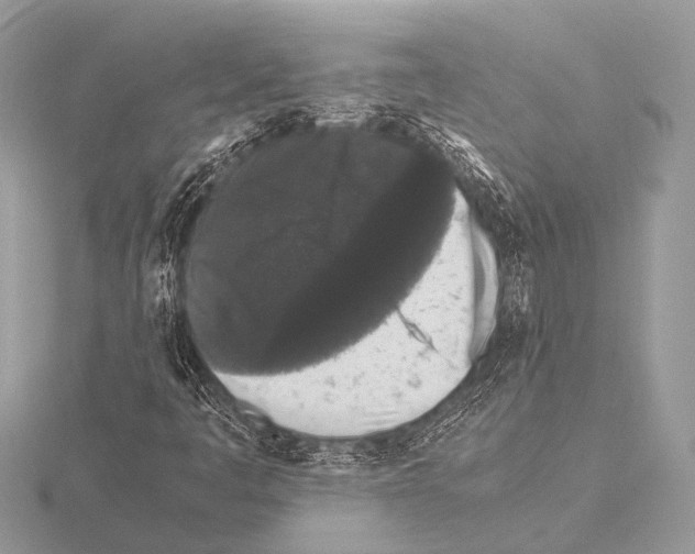 X0000115341445200912141230