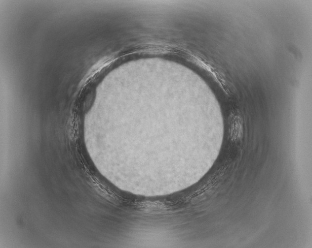 X0000115341448200912141230