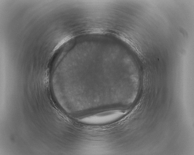 X0000115341450200912141230