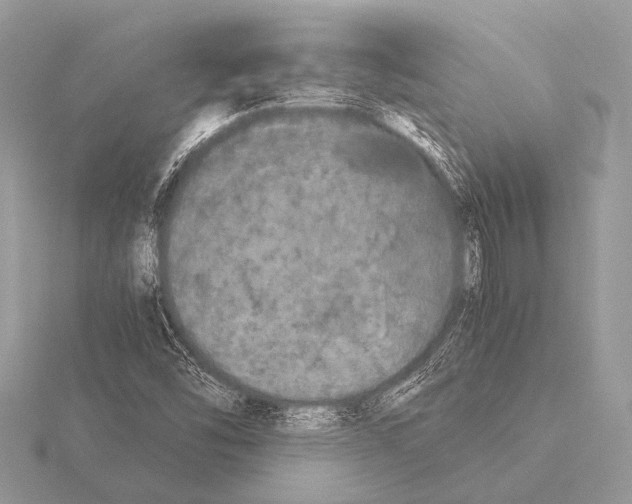 X0000115341454200912141230