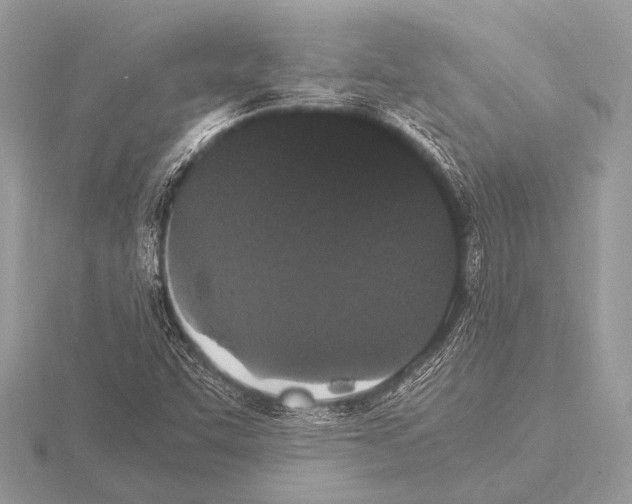 X0000115341455200912141230