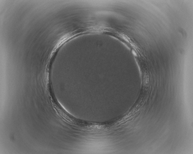 X0000115341459200912141230