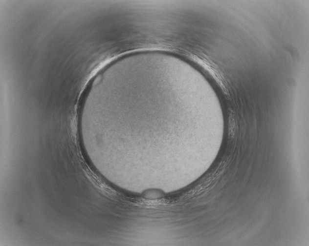 X0000115341460200912141230