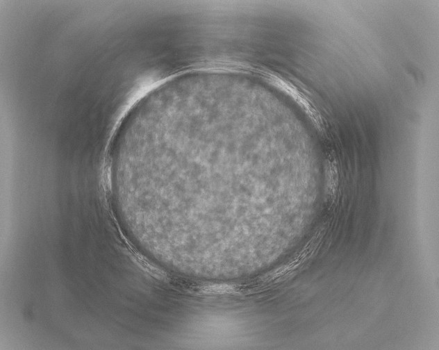 X0000115341462200912141230