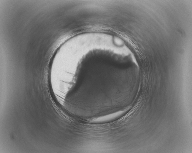 X0000115341463200912141230