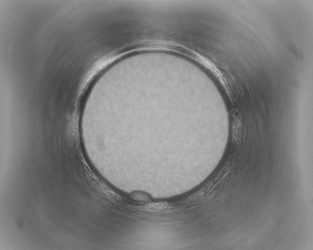 X0000115341464200912141230