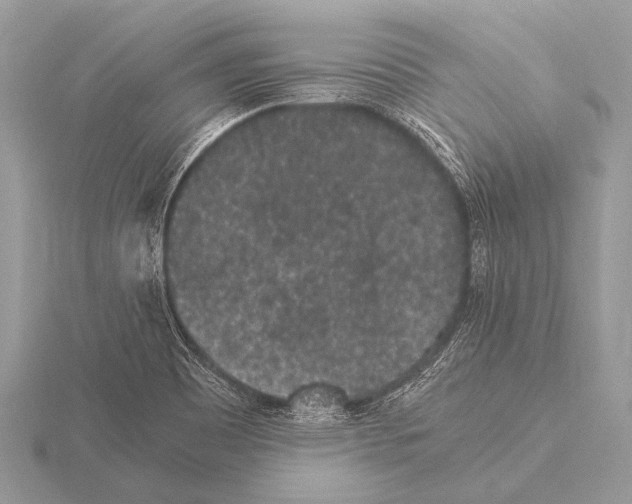 X0000115341465200912141229