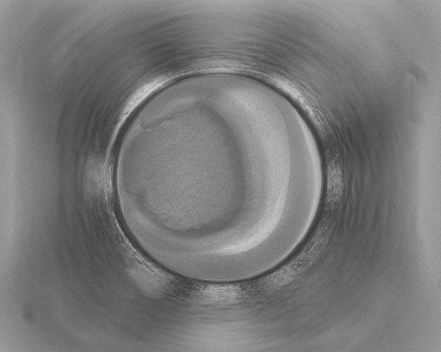 X0000115341466200912141229