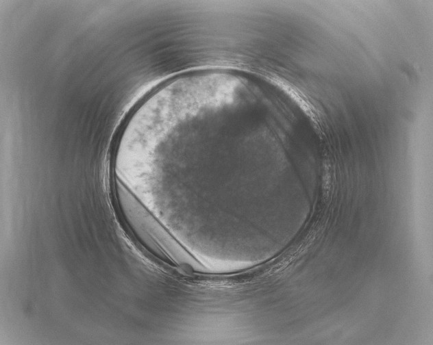 X0000115341468200912141229