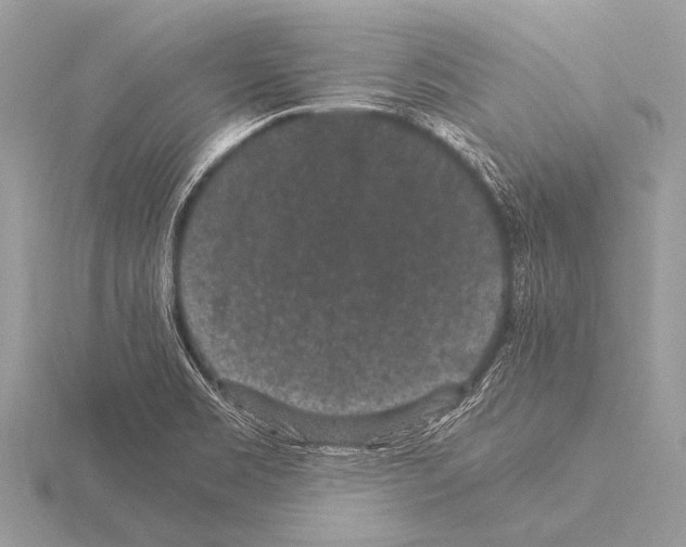 X0000115341469200912141229