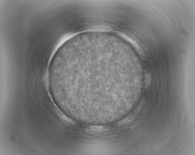 X0000115341470200912141229